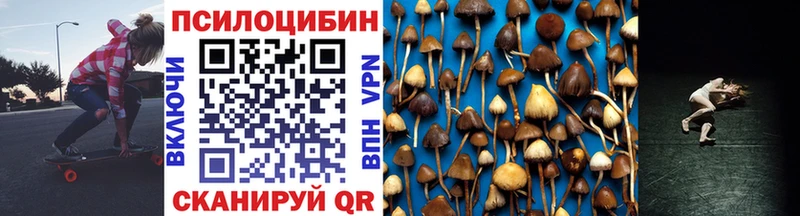 ссылка на мегу вход  Собинка  Псилоцибиновые грибы Psilocybine cubensis 